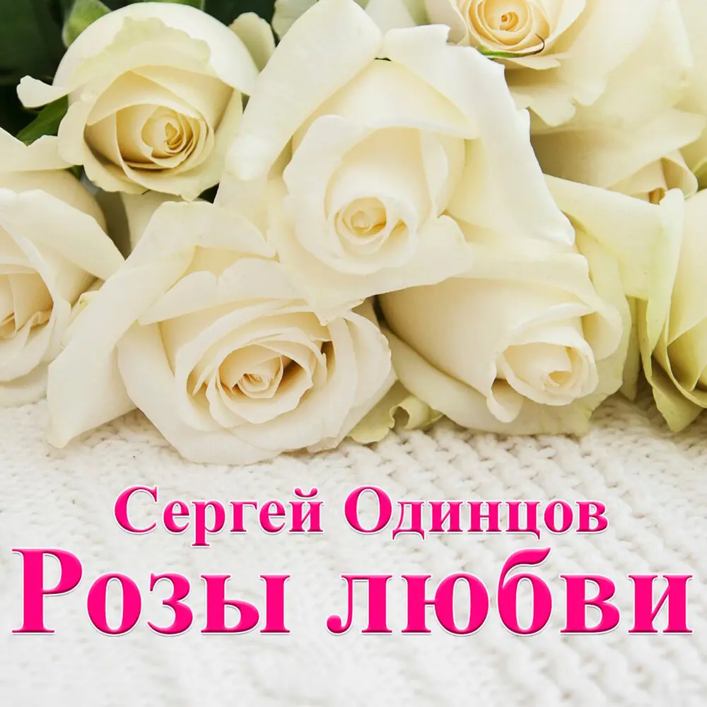 Неожиданная встреча - Сергей Одинцов, Динара Швец