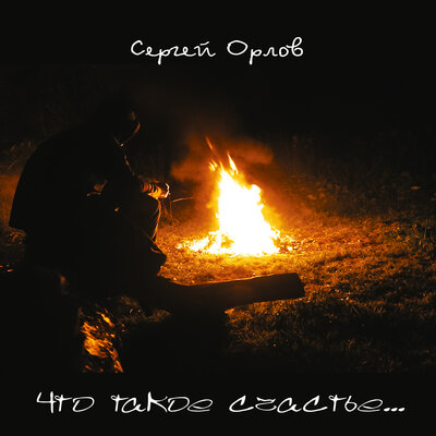 Что такое счастье... - Сергей Орлов