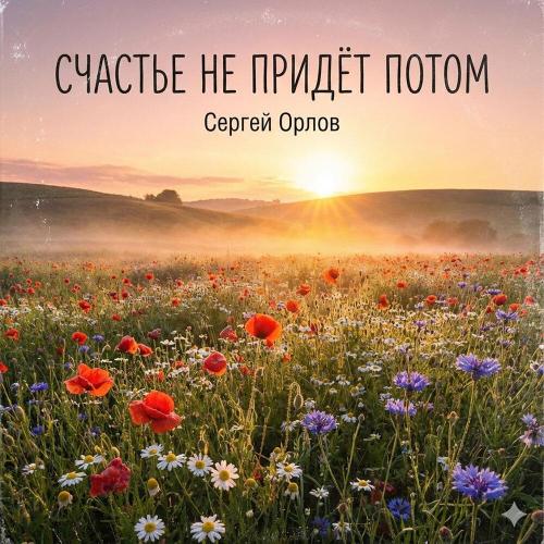 Сергей Орлов - Счастье не придёт потом
