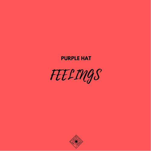 Feelings (Original Mix) - SergeOk & Purple Hat