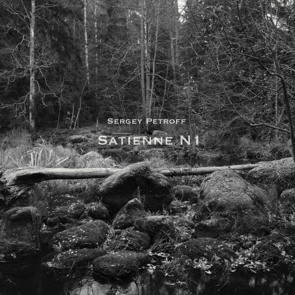Satienne N1 - Sergey Petroff