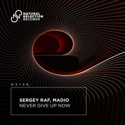 Never Give Up Now - Sergey Raf, Madio