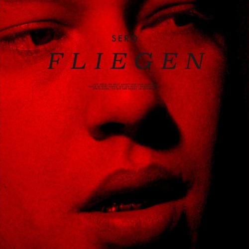 Sero feat. Almila Bagriacik - Fliegen