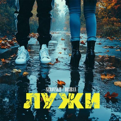 Serovskii & DIGIBAN - Лужи