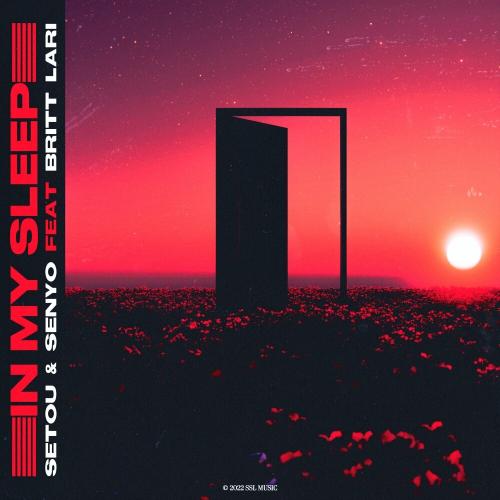 Setou & Senyo & Britt Lari - In My Sleep