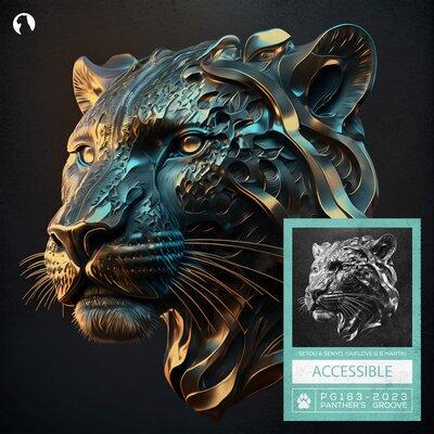 Setou & Senyo, SaifLove, B Martin - Accessible