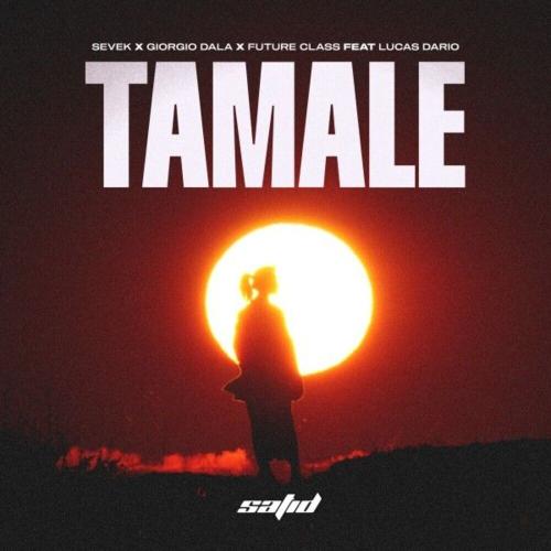 Sevek, Giorgio Dala & Future Class feat. Lucas Dario - Tamale