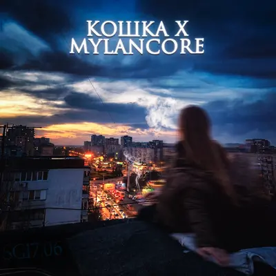 кошка x mylancore - SG17.06