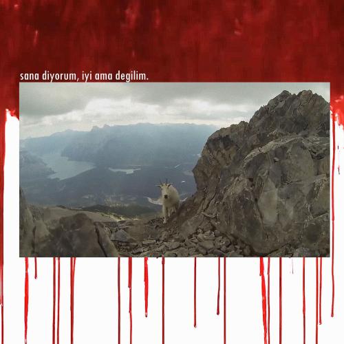 Sh!t & Zenn - Sana Diyorum, Iyi Ama Değilim