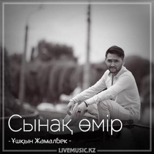 Ұшқын Жамалбек - Сынақ өмір (2018)