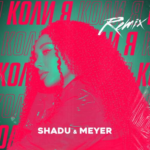 Shadu feat. Meyer - Коли Я (Remix)