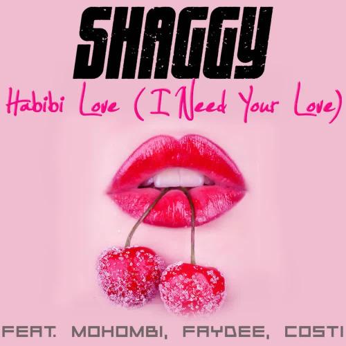 Shaggy feat. Mohombi, Faydee & Costi - Habibi Love (I Need Your Love)