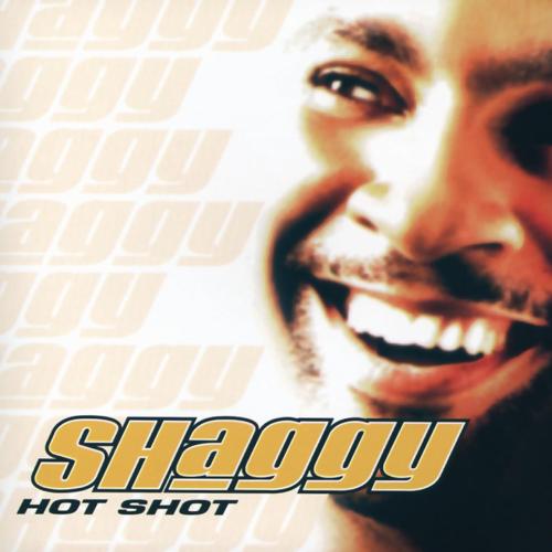 It Wasn't Me (feat. Ricardo Ducent) - Shaggy
