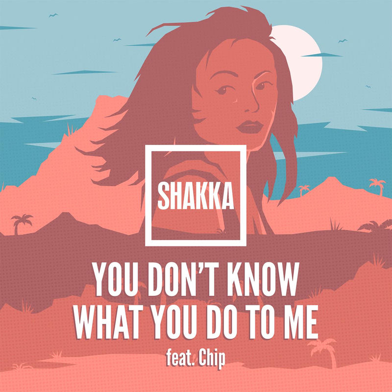 You Don't Know What You Do To Me (Feat. Chip) - SHAKKA feat. Chip