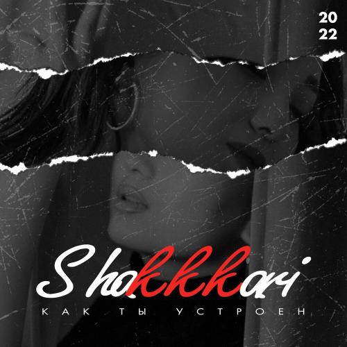 Как ты устроен - Shakkkari