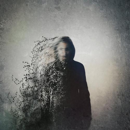 Shallou - Fading