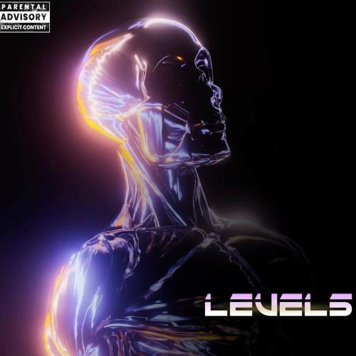 Sham - Levels