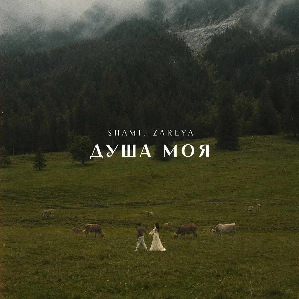Душа моя - SHAMI, Zareya