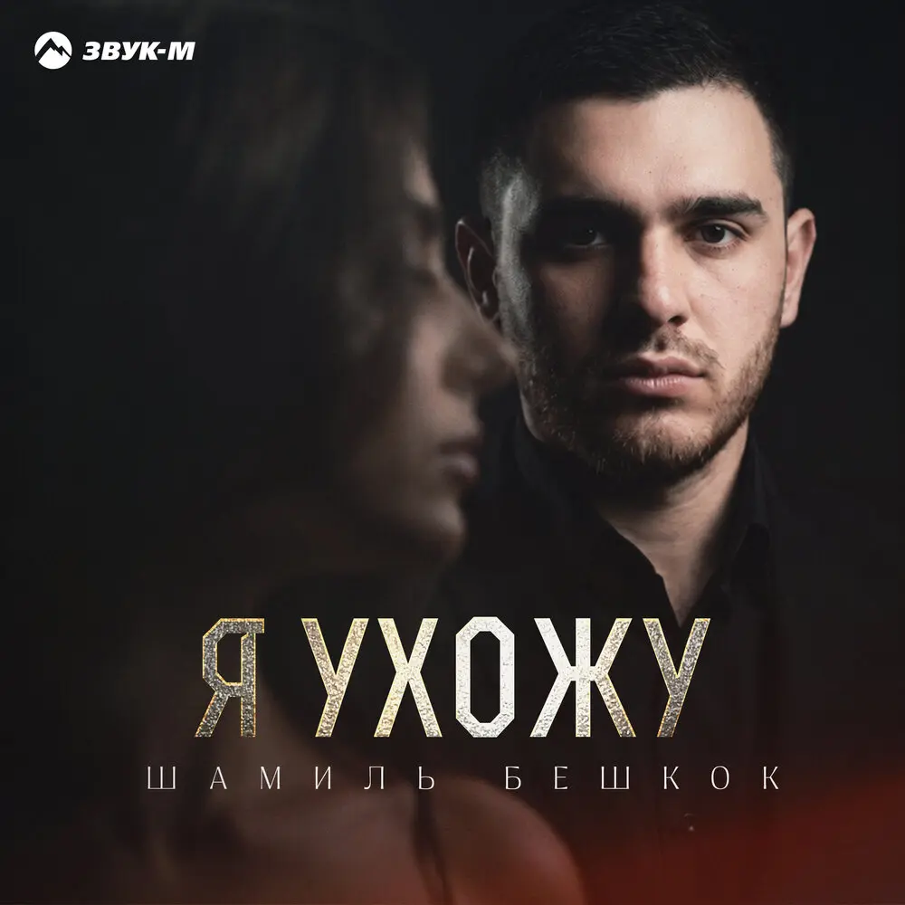 Я ухожу - Шамиль Бешкок