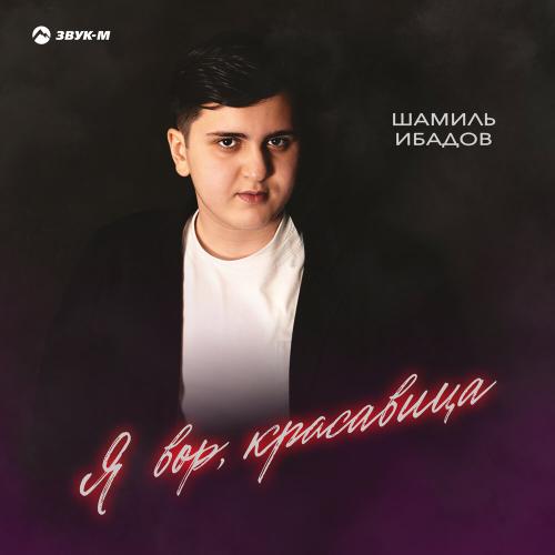 Я вор, красавица - Шамиль Ибадов