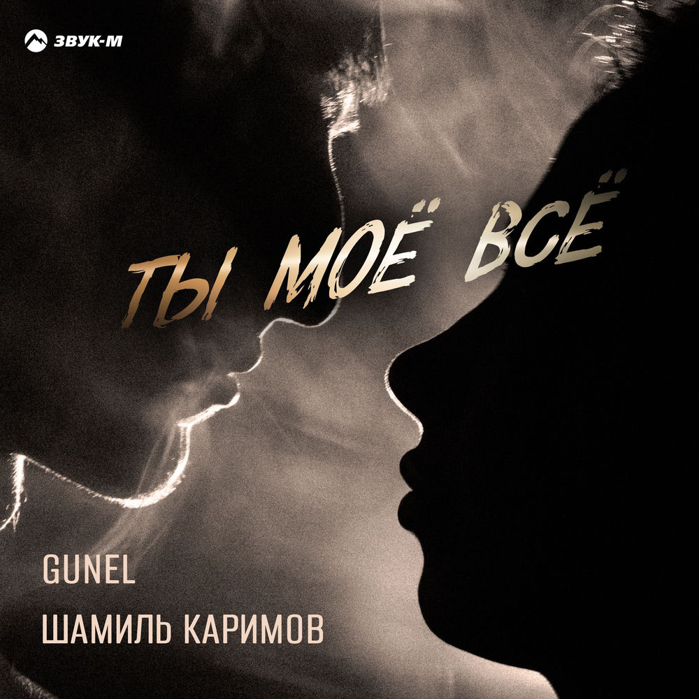 Шамиль Каримов & Günel - Ты Моё Всё