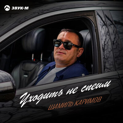 Уходить не спеши - Шамиль Каримов
