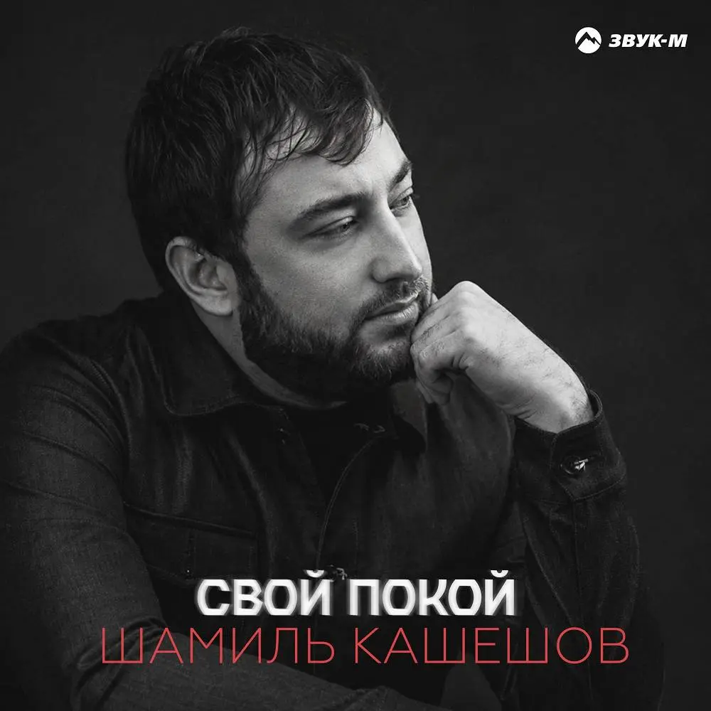 Свой покой - Шамиль Кашешов