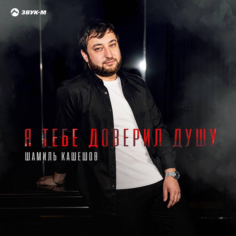 Я тебе доверил душу - Шамиль Кашешов