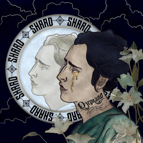 Shard - Дзеркало (Church Remix)