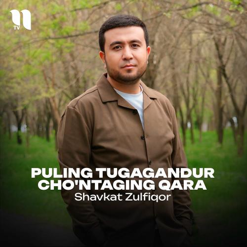 Shavkat Zulfiqor - Puling Tugagandur Cho'ntaging Qara