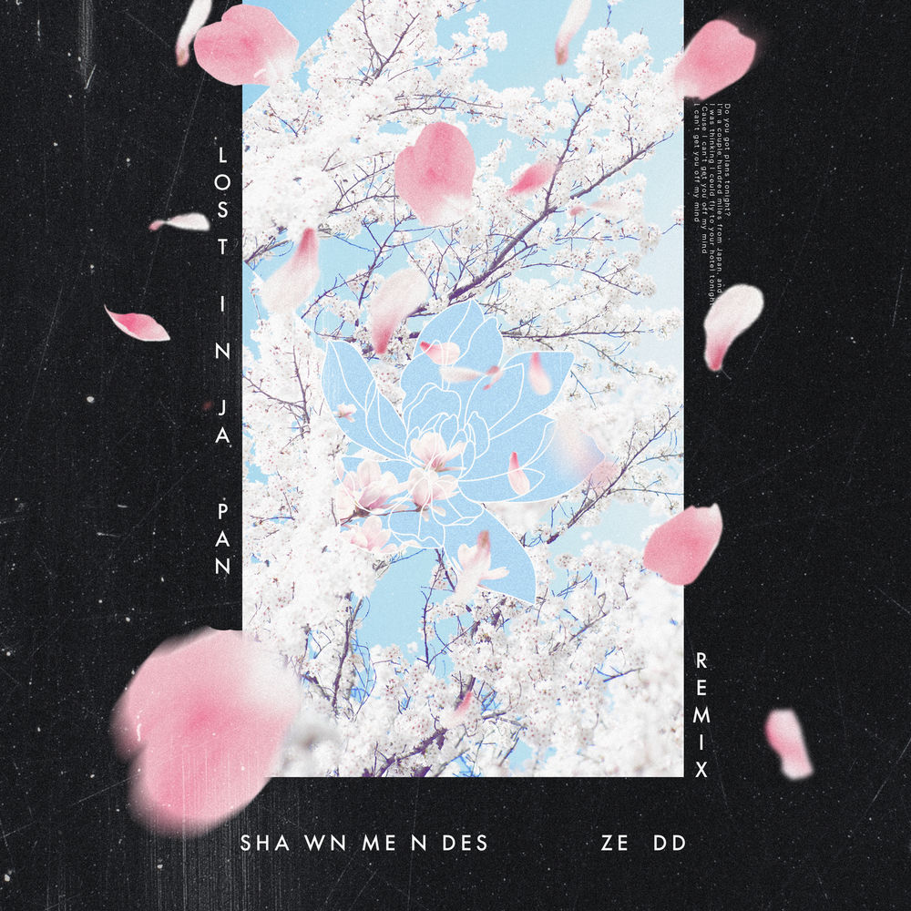 Shawn Mendes & Zedd - Lost In Japan (Remix)