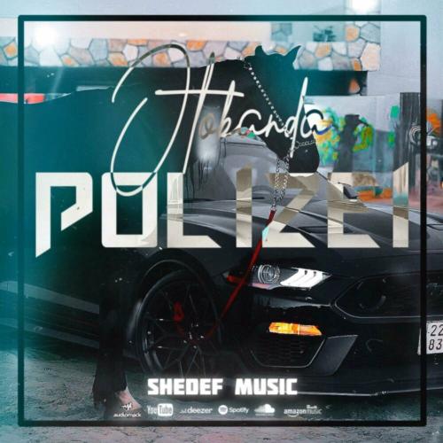 Shedef Music feat. Bager Boldağ - Otoban Da Polîzîe (Bager Boldağ Remix)