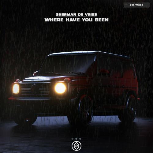 Sherman de Vries - Where Have You Been