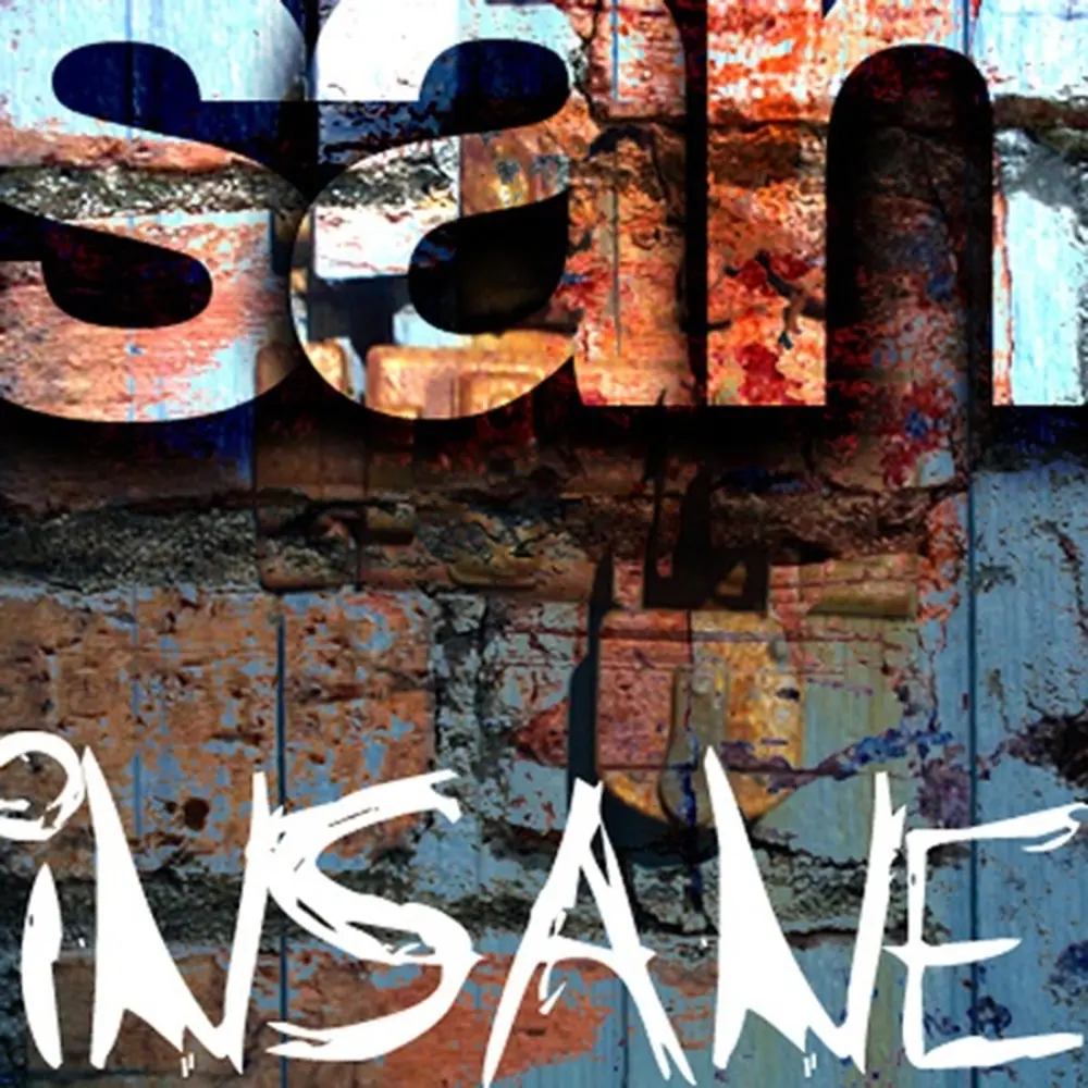 Insane (Original Mix) - Shermanology