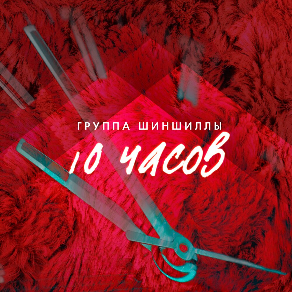 Шоколадные слова - Шиншиллы