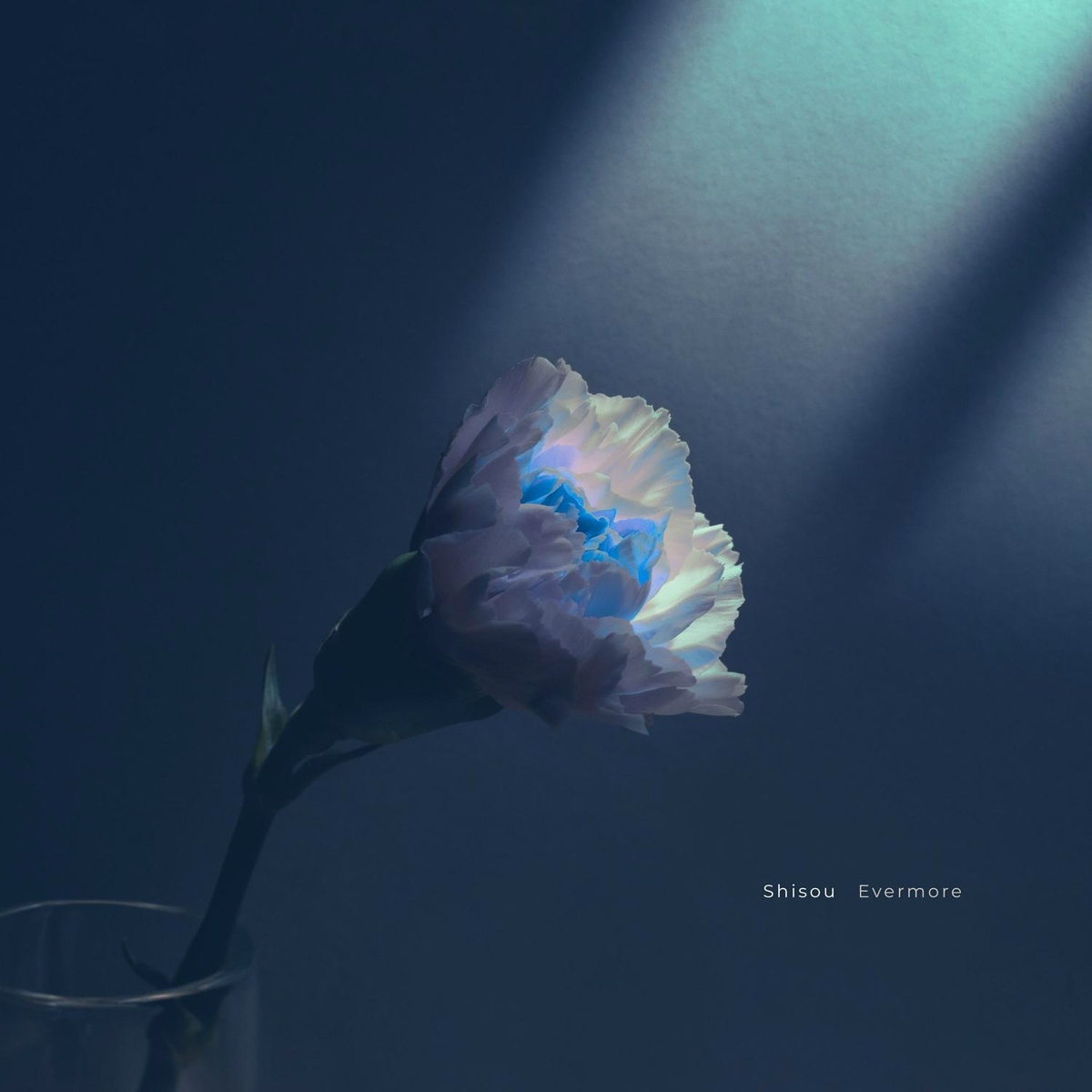 Evermore - Shisou, Dark Life Note