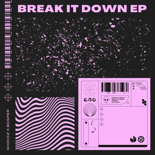 Shockz feat. Bosper - In The Zone