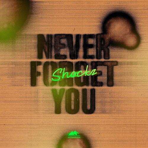 SHOCKZ - Never Forget You