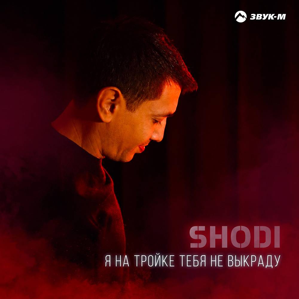 Я на тройке тебя не выкраду - Shodi