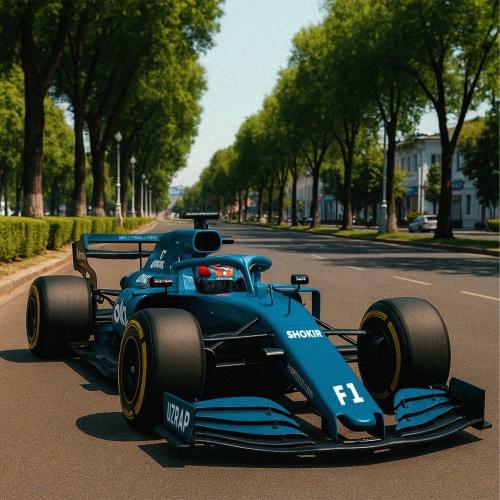 Shokir - Formula 1