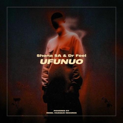 Shona SA & Dr Feel - Ufunuo