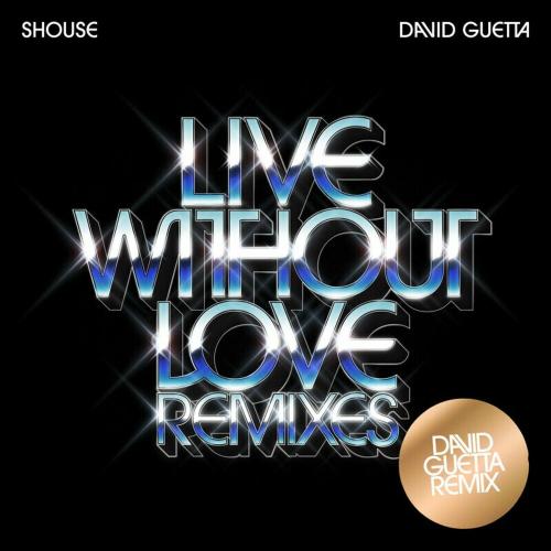Shouse - Live Without Love (David Guetta Edit)