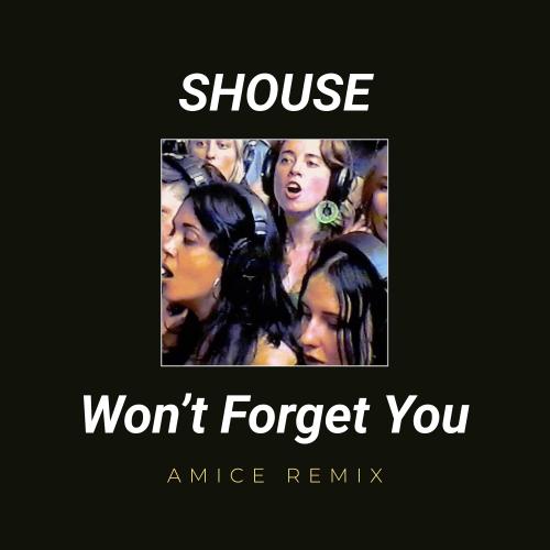 Shouse - Wont Forget You (Amice Remix)