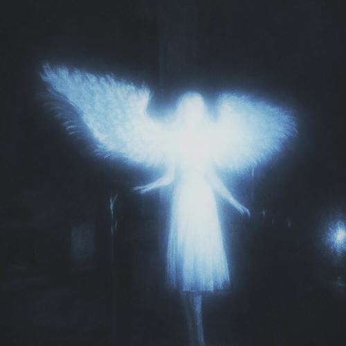 SHPACKYOU$ - Wings