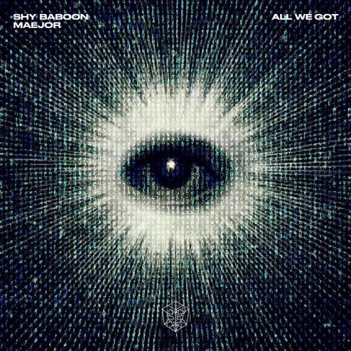 Shy Baboon feat. Maejor - All We Got