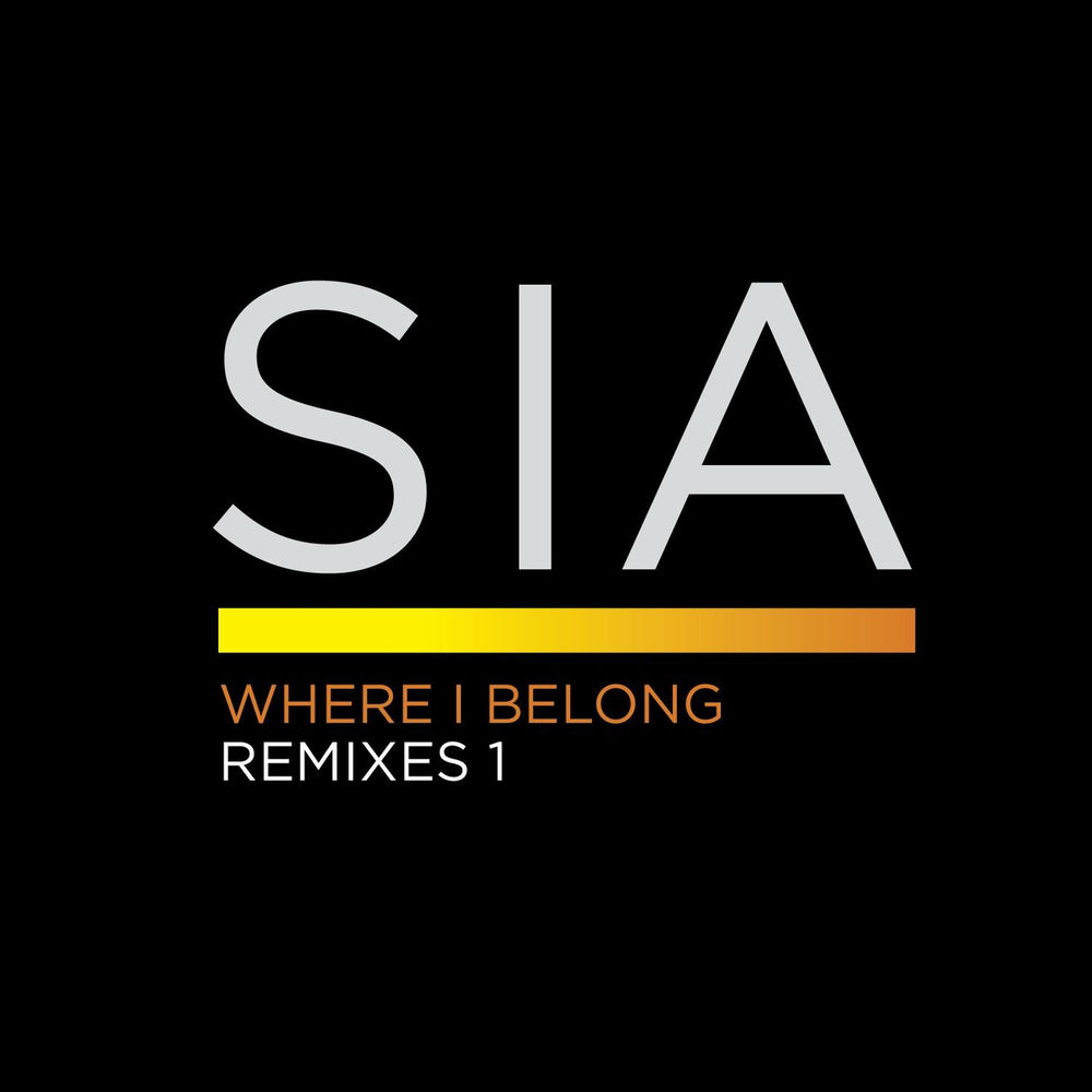 Where I Belong (Roni Size Remix) (Feat. Roni Size) - Sia feat. Roni Size