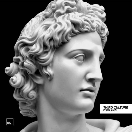 Sian feat. Sacha Robotti & Third Culture - In The Dark