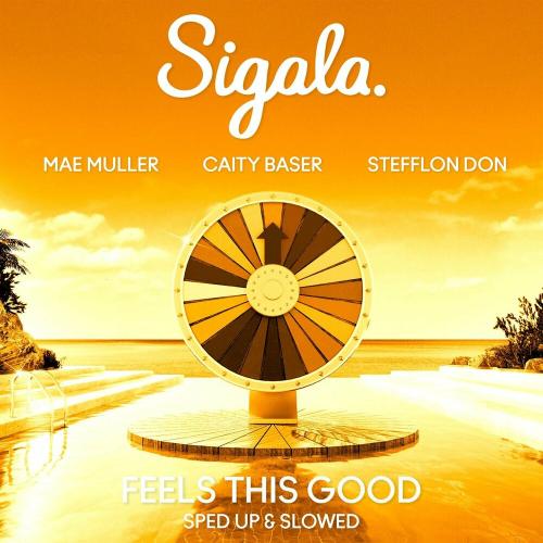 Sigala feat. Mae Muller & Caity Baser & Stefflon Don - Feels This Good (Slowed)