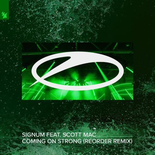 Signum - Coming on Strong (feat. Scott Mac) [Reorder Remix]