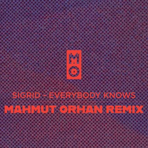Sigrid - Everybody Knows (Mahmut Orhan Remix)